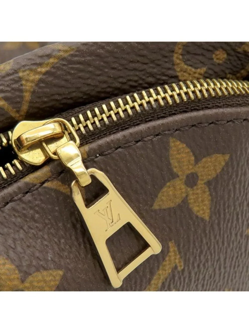 Louis Vuitton Backpack Palm Springs Mini Monogram Canvas Gold Brown
